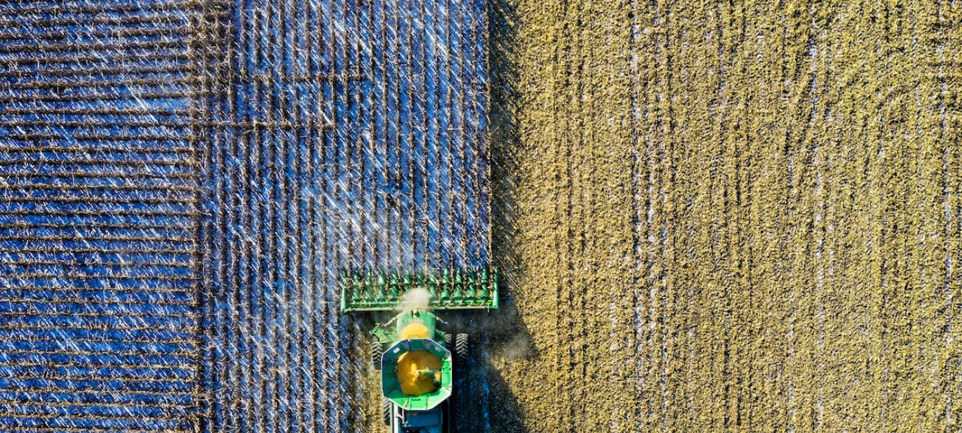 UN partners launch guide to help overhaul world’s food systems Pexels/Tom Fisk