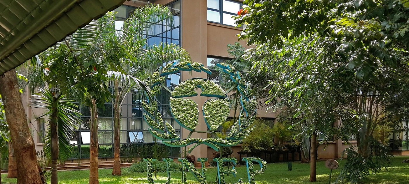 Detention of environmental human rights defender Hoang Thi Minh Hong UNEP