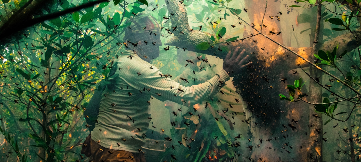 An inside look at the beauty and benefits of mangroves Mangrove Photo Awards/Muhammad Mostafigur Rahman