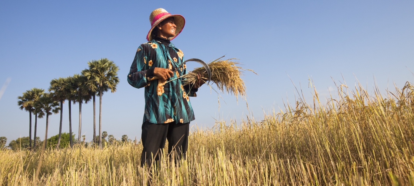 Renewable energy: a boon for women farmers in Cambodia Biosphoto via AFP/Claudius Thiriet