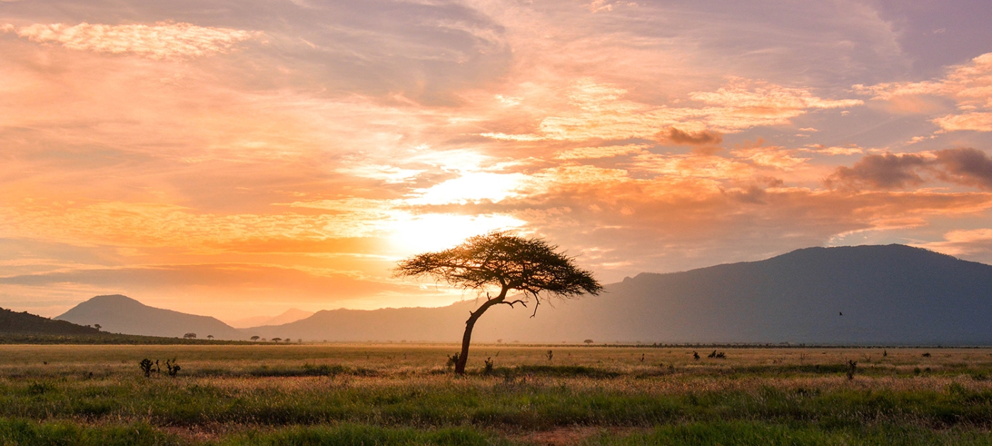 Fostering collaboration to address environmental challenges in Africa Photo by Halima Bouchouicha/Unsplash