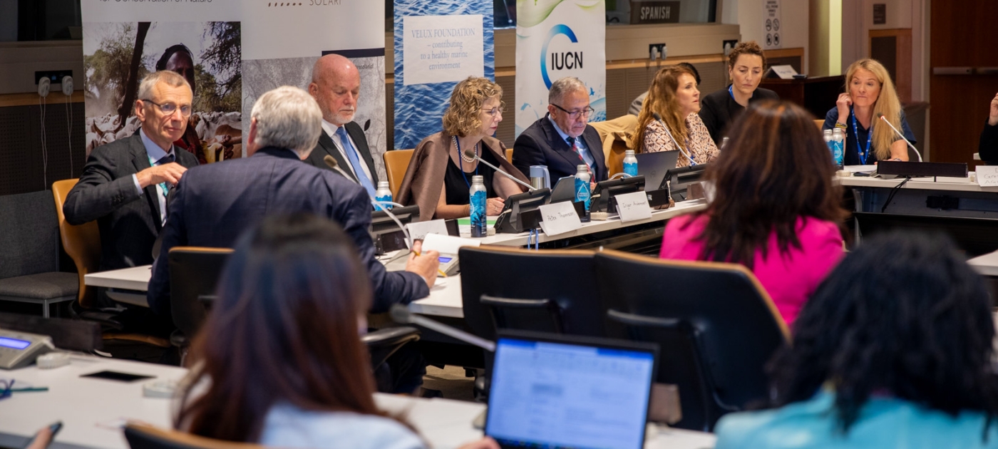 Environmental philanthropy for the SDGs Photo by Miranda Grant/ UNEP