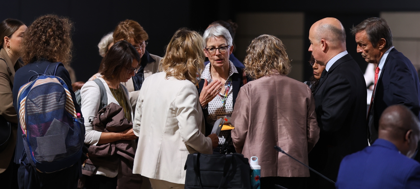 UNEP welcomes new Global Framework on Chemicals Photo by IISD/ENB | Mike Muzurakis