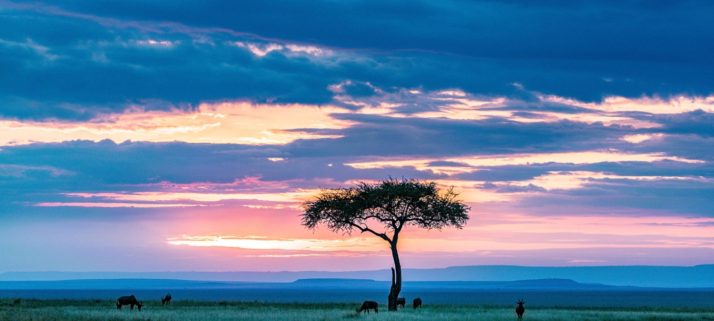 Africa Climate Week demonstrates continent’s determination to lead on climate action Pixabay