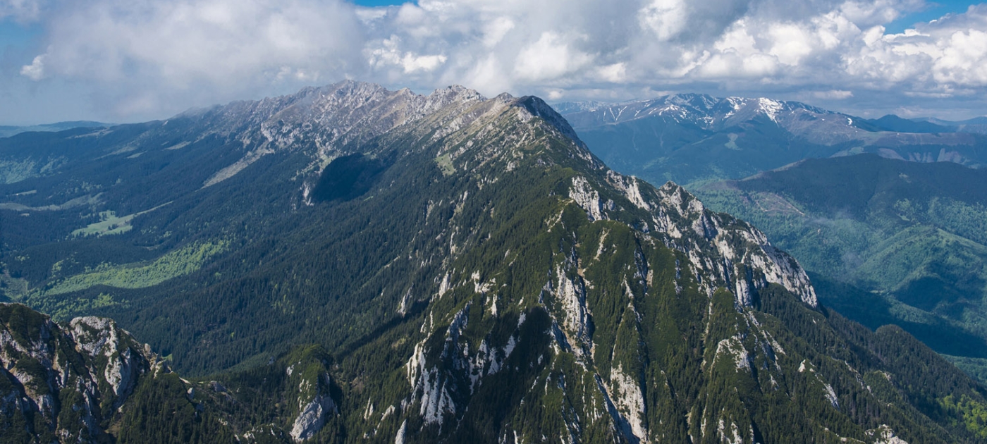 The Carpathian Convention marks its 20th anniversary with a new Biodiversity Framework and a transboundary protected wetland Mircea Verghelet
