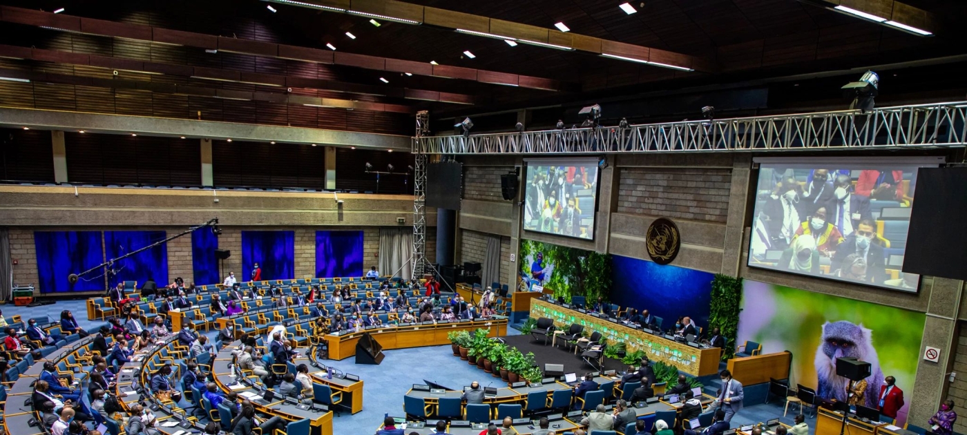 What to expect at the next United Nations Environment Assembly Photo: UNEP