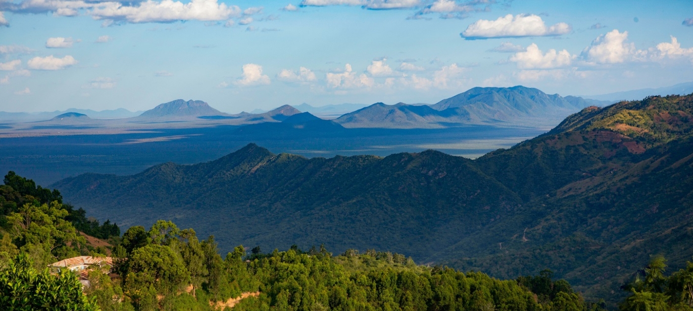Tanzania builds climate resilience in major push to restore landscapes hosting displaced populations Photo by Evans Dims on Unsplash