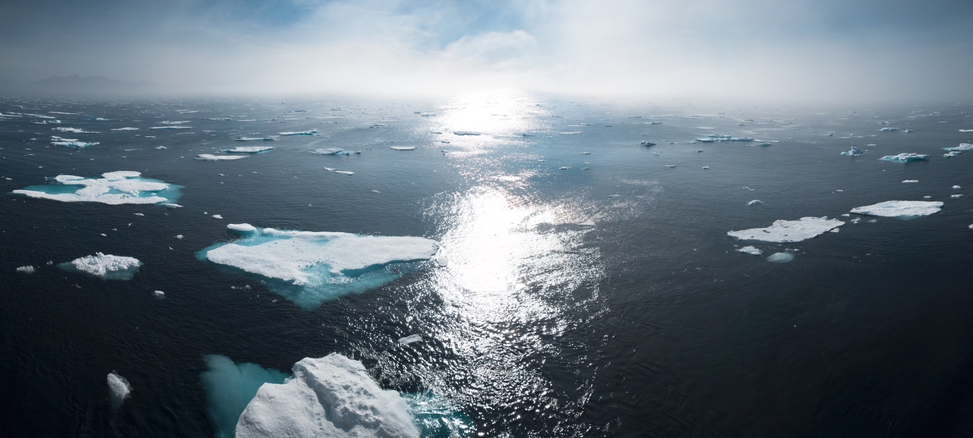 New UN report identifies how non-state actors can strengthen climate action transparency Photo: IISD/William Bossen