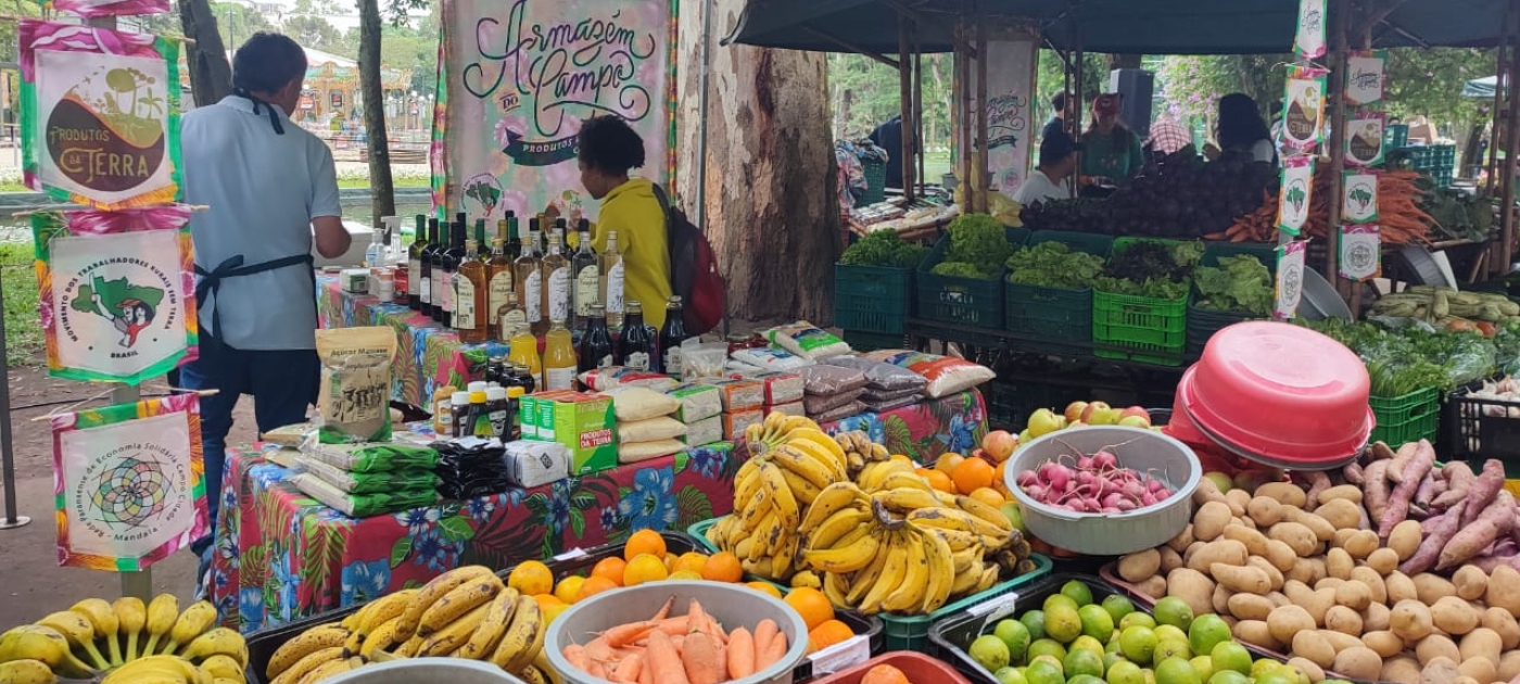 PNUMA divulga impactos de projeto que integra valores da natureza aos sistemas alimentares Foto: Gustavo Soares e Ednubia Ghisi
