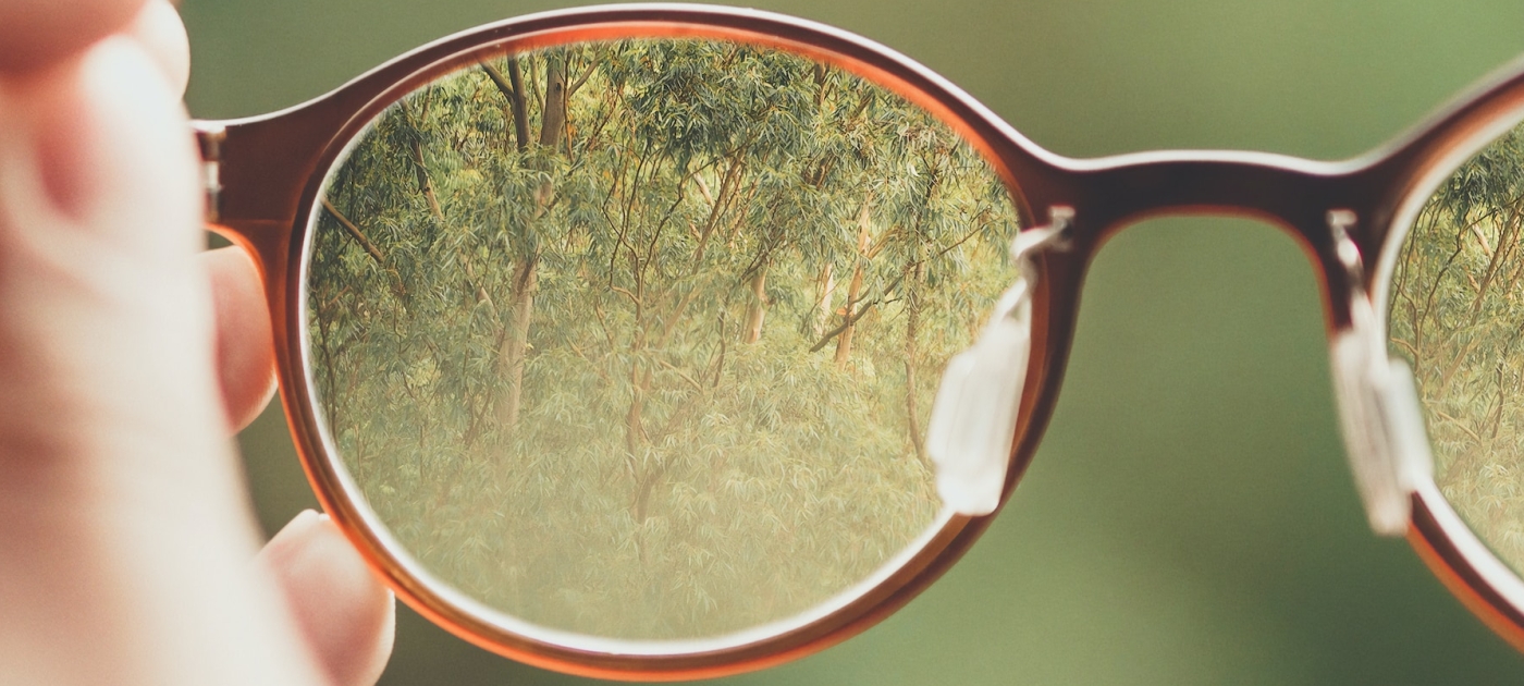 Climate transparency and why it matters Photo: Unsplash/Bud Helisson