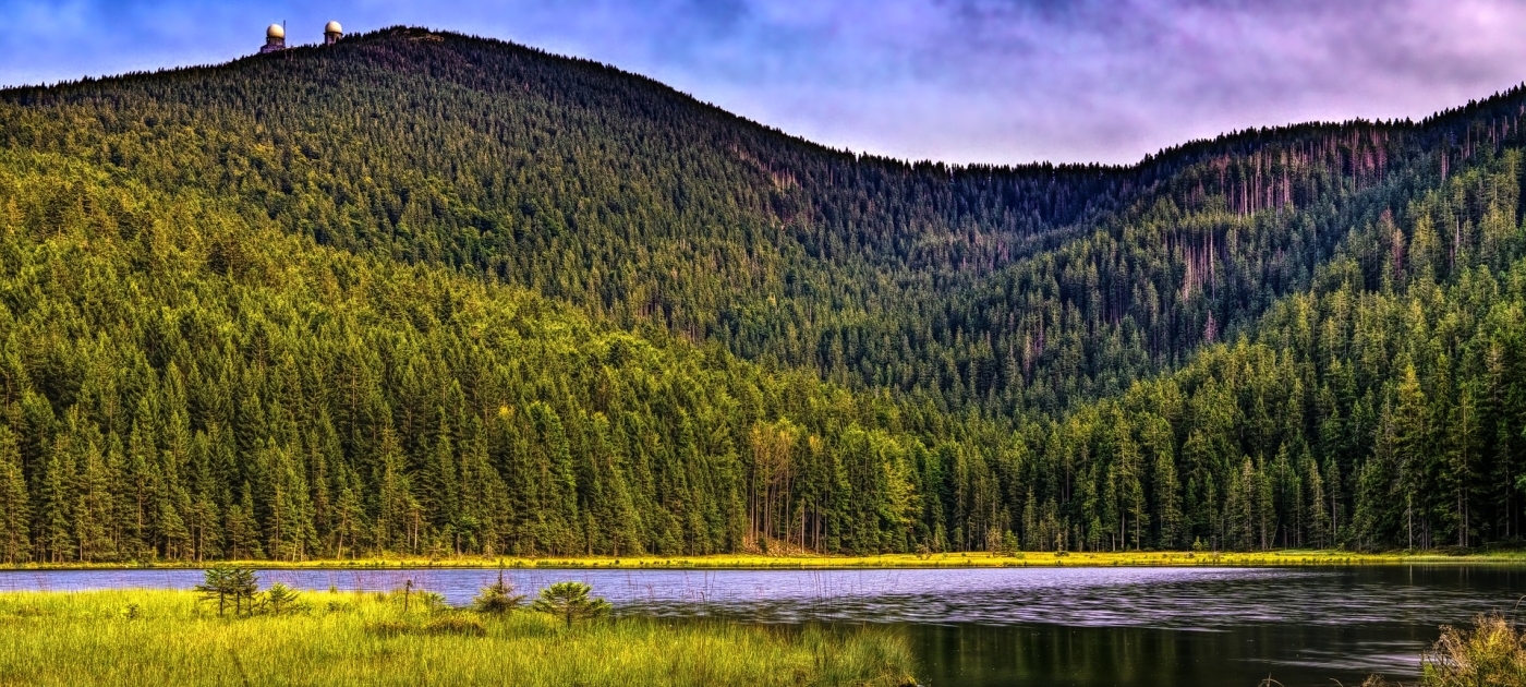 Nature critical to infrastructure for sustainable development – UN Pixabay