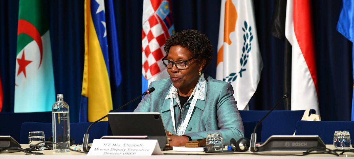 The Barcelona Convention: Towards a healthy Mediterranean Photo by IISD/ENB Mika Schroder