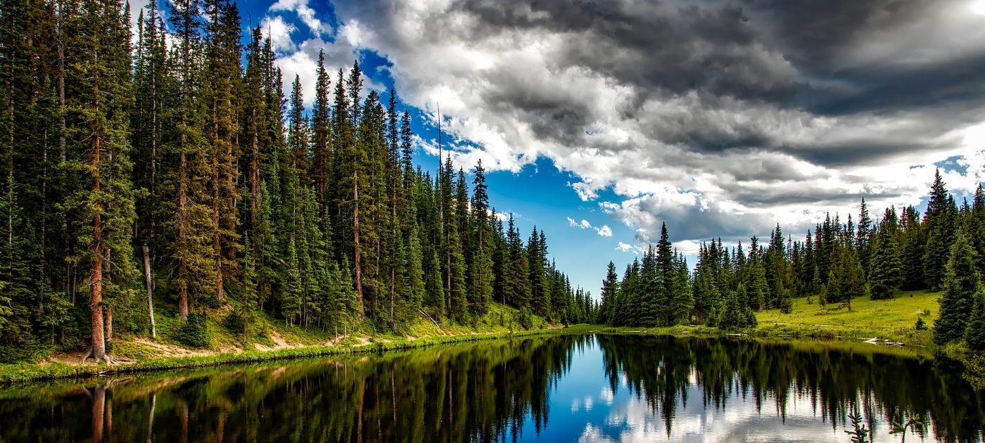 Des flux financiers mondiaux annuels de 7 000 milliards de dollars alimentent les crises du climat, de la biodiversité et de la dégradation des sols. pixabay