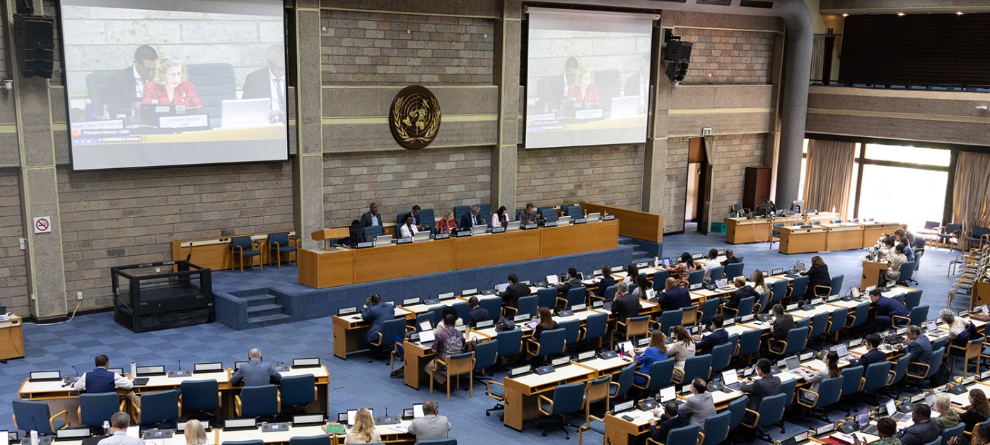 Turning the corner on environmental crises in 2024 Photo by UNEP