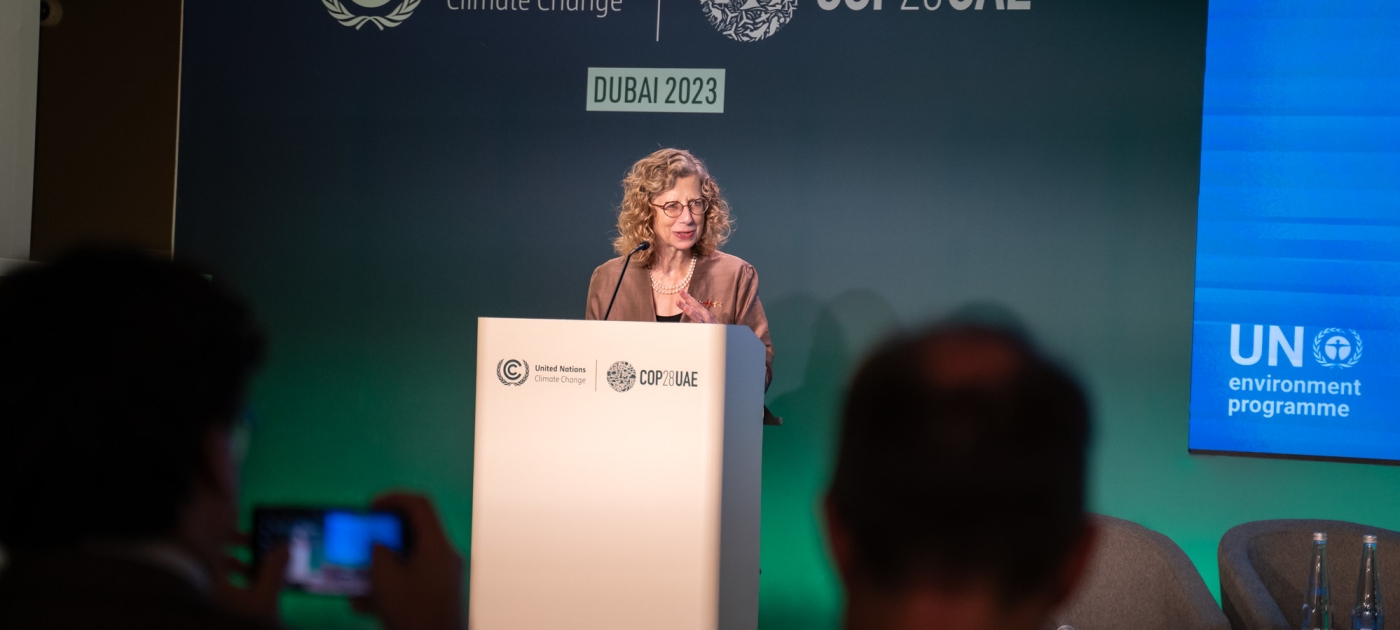 What was accomplished at COP28? Photo by UNEP/ Duncan Moore