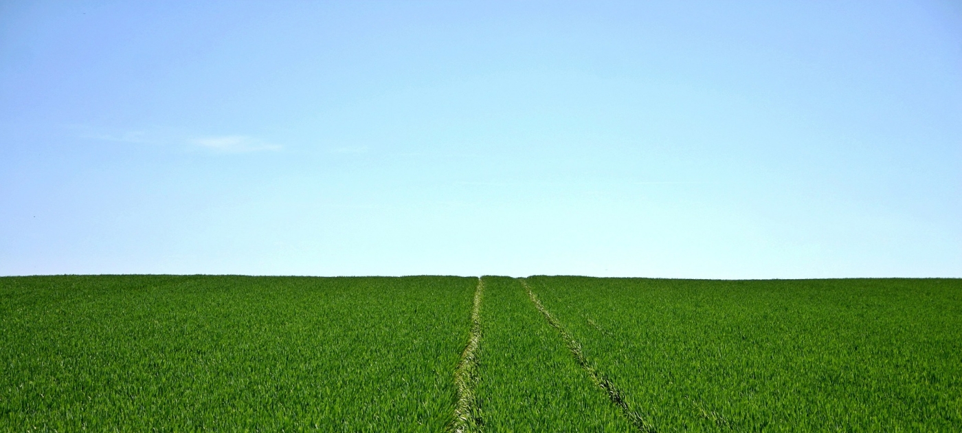 Launch of the UN Global Campaign on Sustainable Nitrogen Management Pixabay