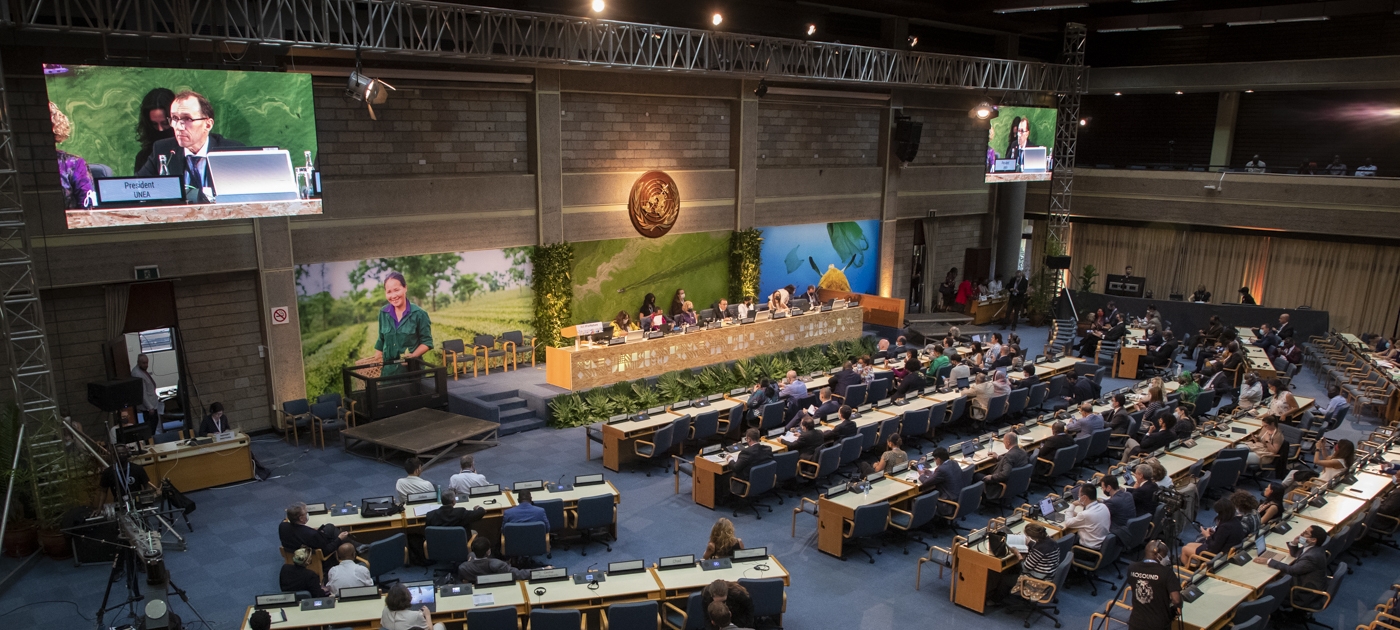 Uma seleção dos momentos que ajudarão a definir a UNEA-6 Photo: UNEP