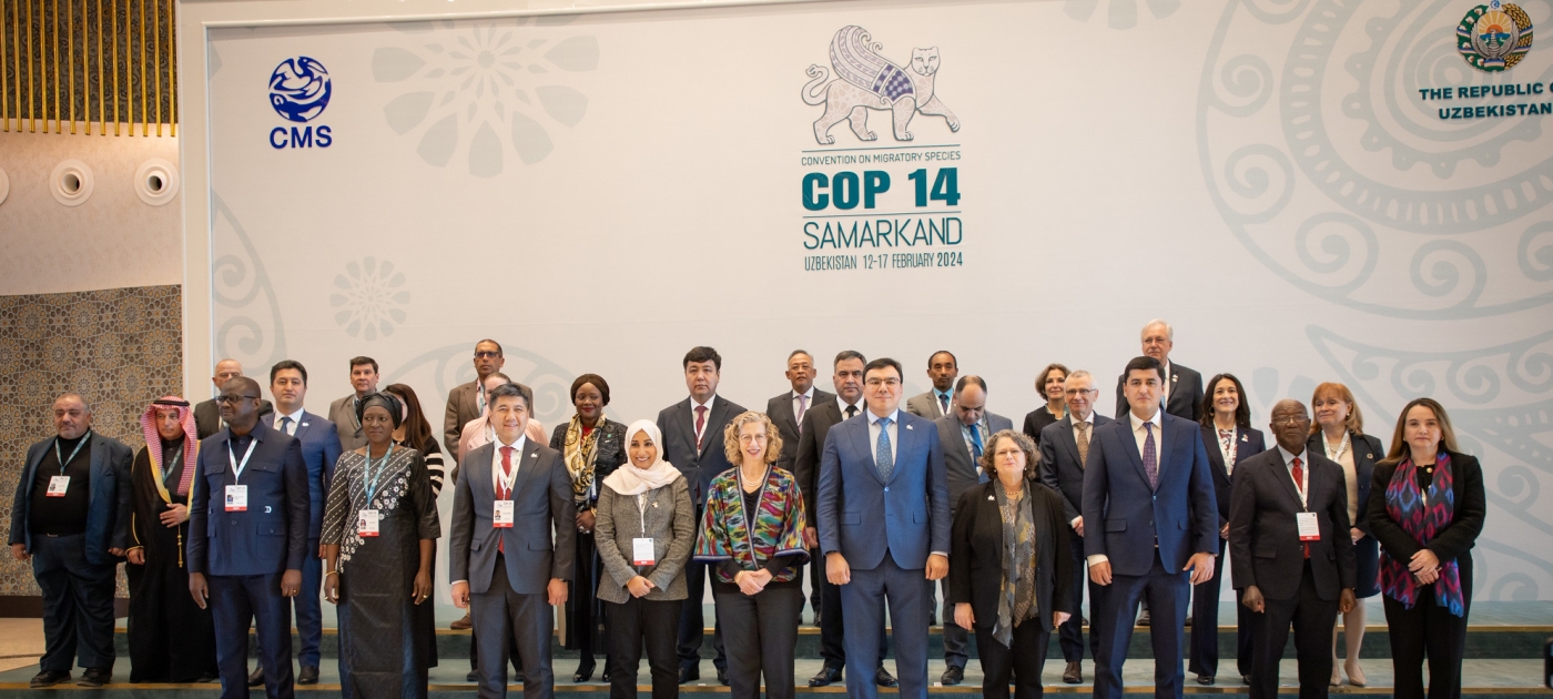 Central Asia as a positive force for migratory species conservation Photo by Duncan Moore/ UNEP