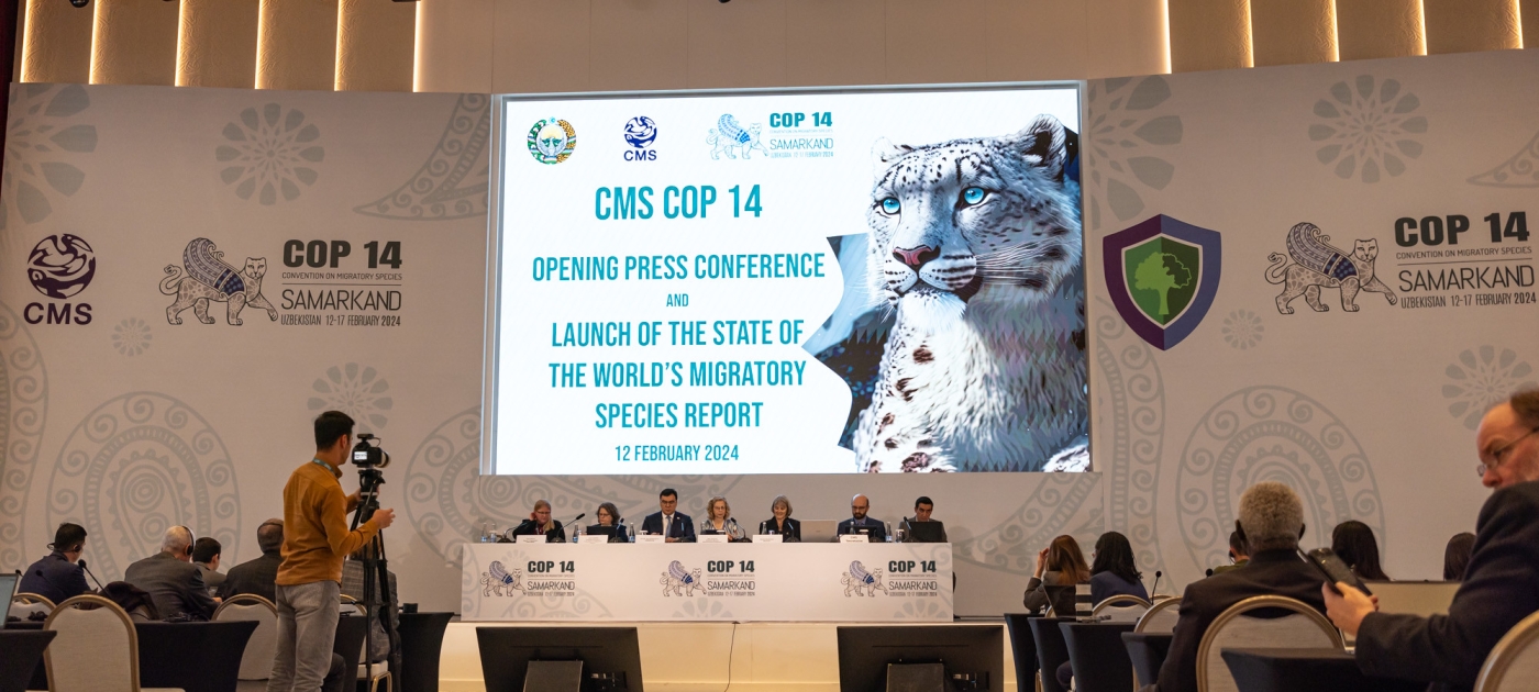 Uniting to protect migratory species for the benefit of all Photo by Duncan Moore/ UNEP
