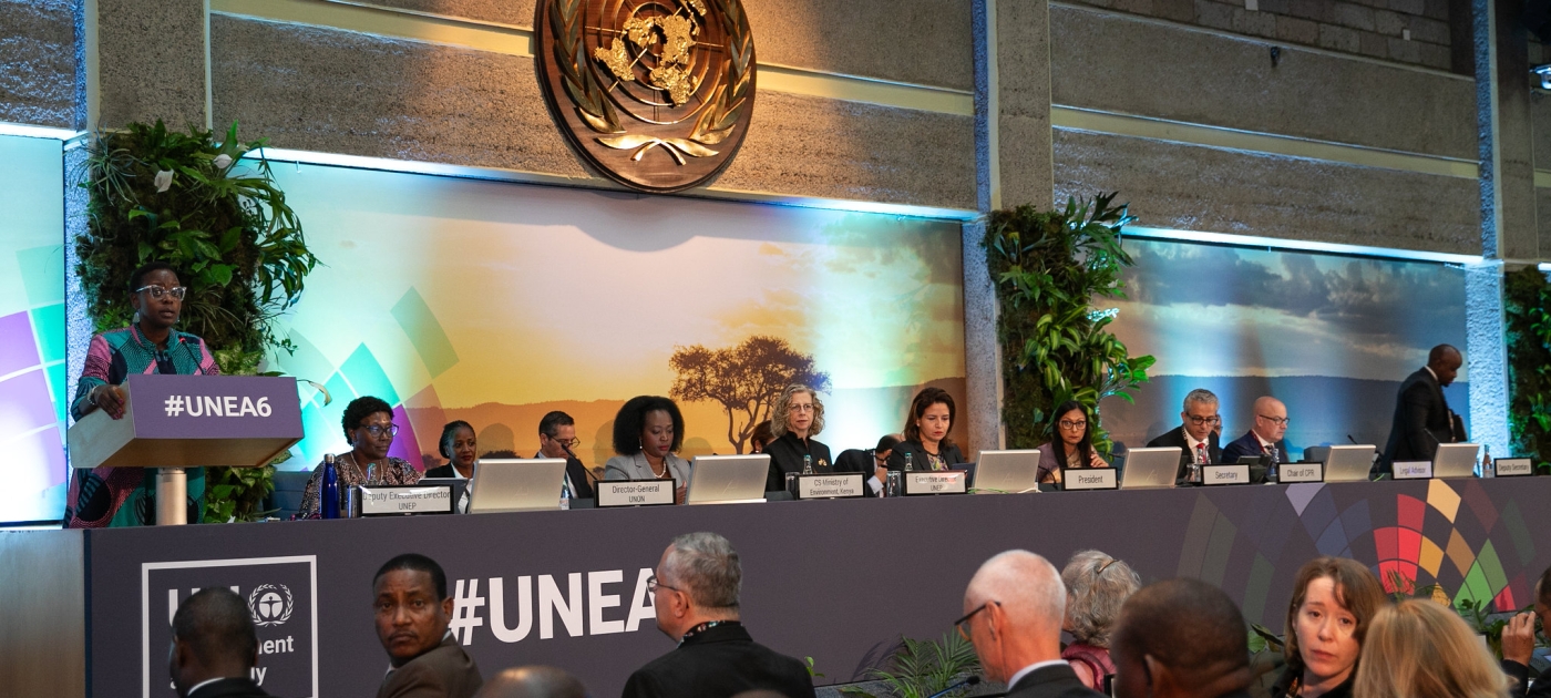 UNEA-6: Global unity through environmental diplomacy Photo by UNEP