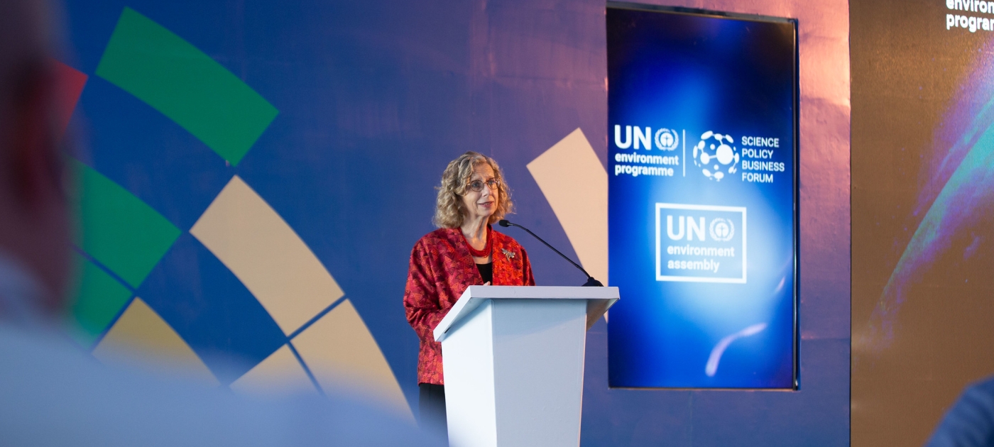 Financing Nature-based Solutions for a better future Photo by UNEP