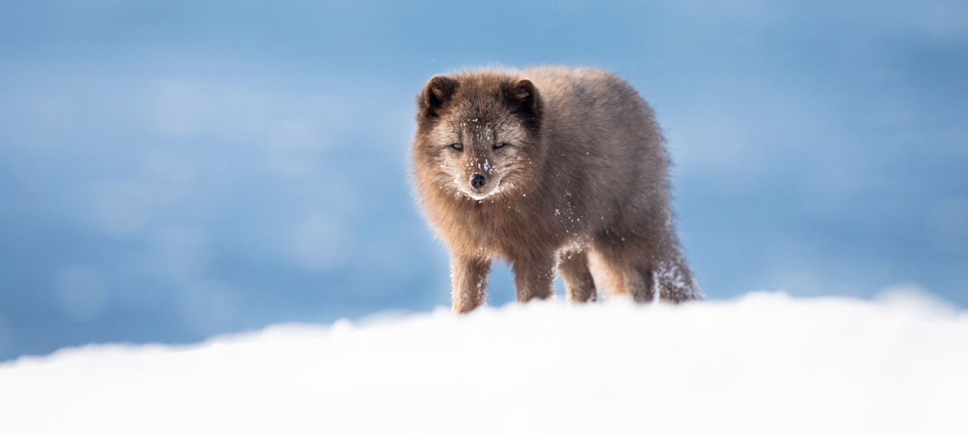 Is the world making good on a landmark pact to protect nature? Photo by UNEP/Stephanie Foote