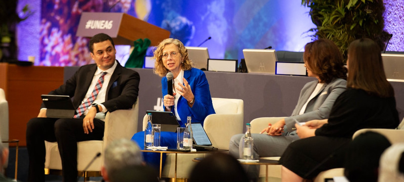 Dialogues with Major Groups and Stakeholders on Development of Medium-Term Strategy (MTS) 2026-2029 MGS during the Multi-Stakeholder Dialogue at UNEA-6