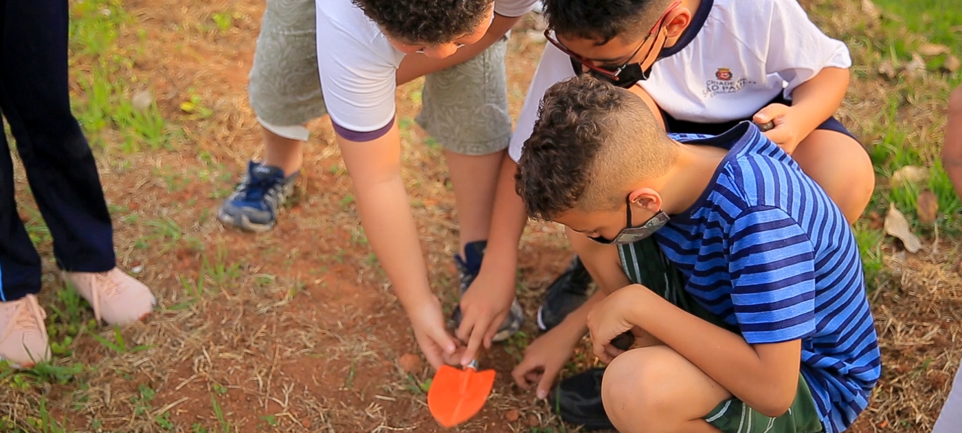 Década da Restauraçãoda ONU: ONG formigas-de-embaúba cria miniflorestas em escolas públicas <nolink>