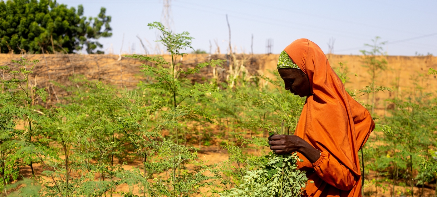 Une muraille verte pour promouvoir la paix et restaurer la nature dans la région du Sahel en Afrique Artisan Productions / UNEP