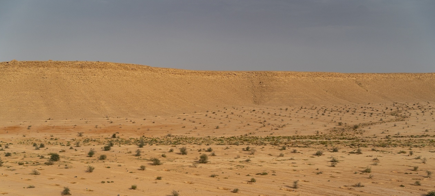 Saudi Arabia and UNEP launch World Environment Day campaigns to combat desertification and restore degraded lands Photo credit: UNEP/Duncan Moore