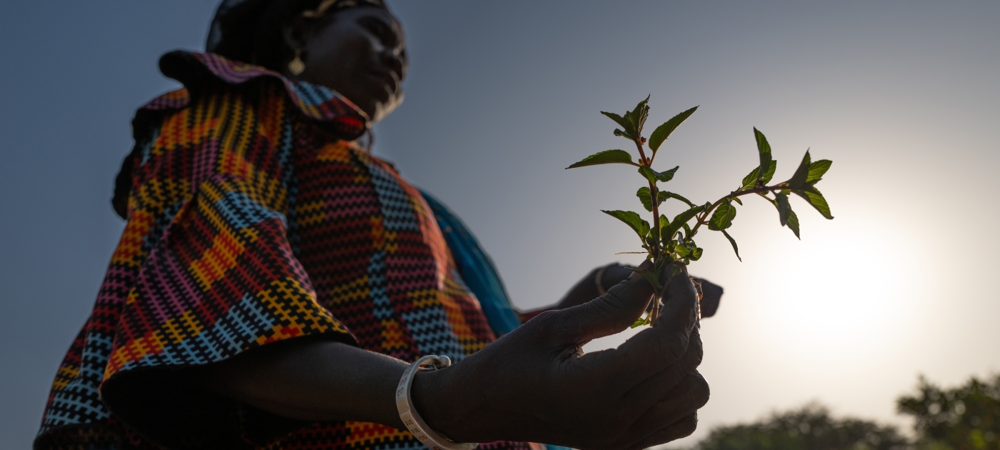 Nominations open for 2024 Champions of the Earth Award with a focus on land restoration, drought resilience, combating desertification UNEP/Todd Brown