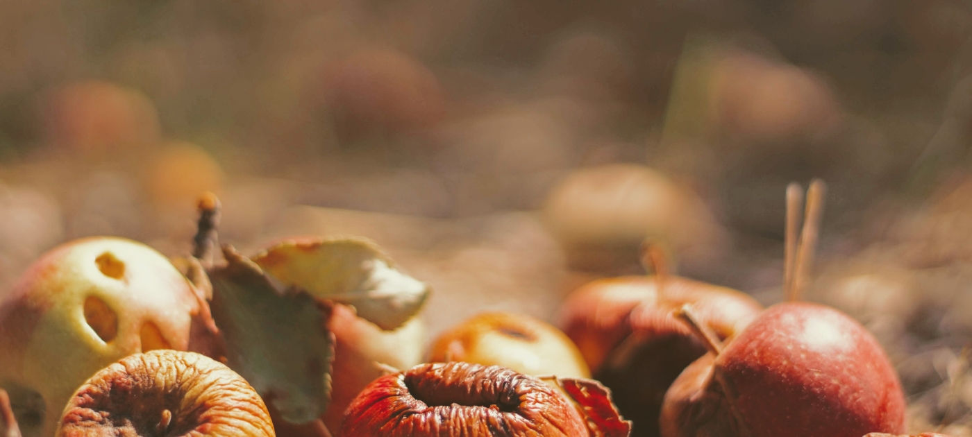 What you need to know about combatting food loss and waste Photo: Unsplash/Joshua Hoehne