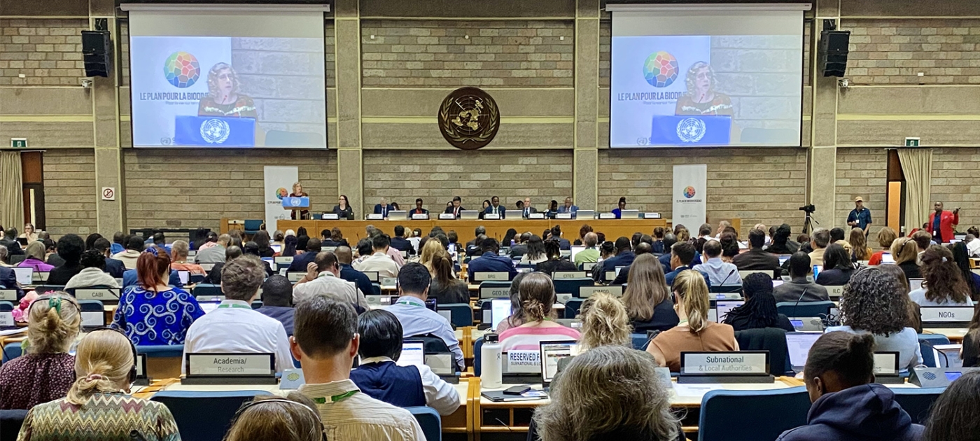 Accelerating implementation of the Global Biodiversity Framework Photo by UNEP