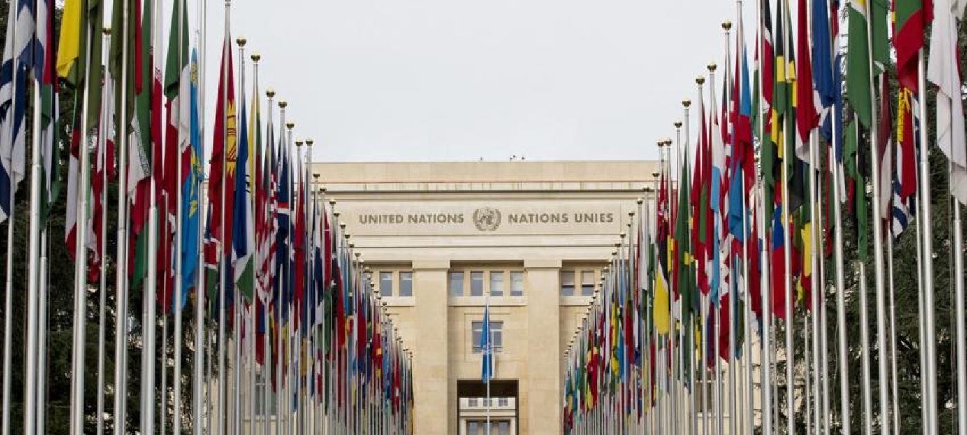 Making good on the right to a healthy environment UN Photo/Jean-Marc Ferré