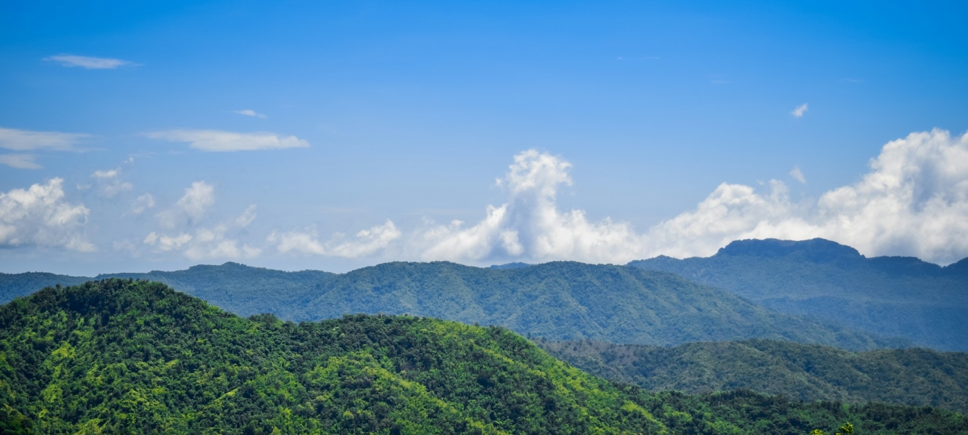 Advancing environmental rights in Southeast Asia Credit: Unsplash/Nopparuj Lamaikul