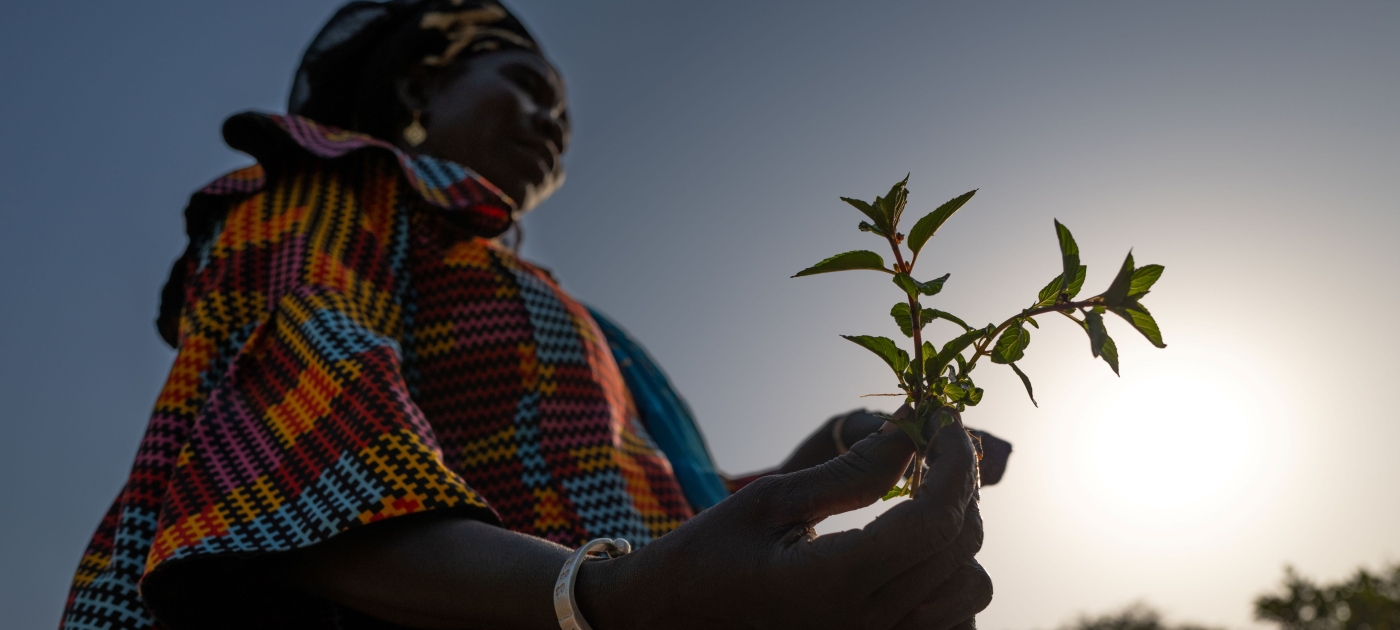 Five ways innovators are making farming easier on the planet Credit: UNEP/Todd Brown