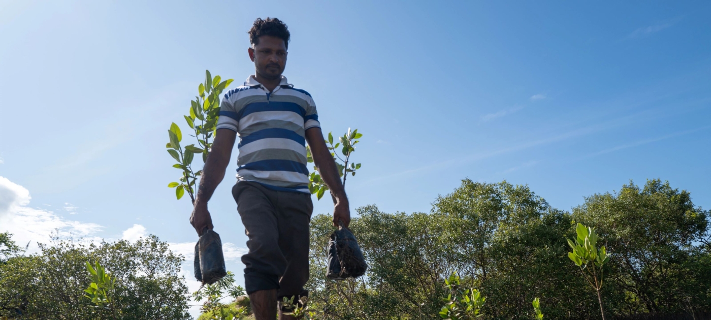 How Sri Lanka’s bet on mangroves is paying off Photo: UNEP/Todd Brown