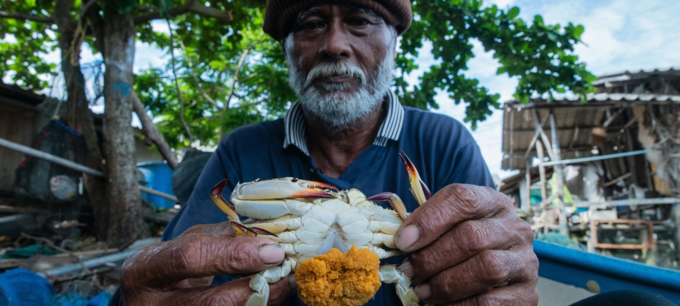 How marine sanctuaries are helping to save an iconic Thai crab Photo by Jack Hewson/ UNEP