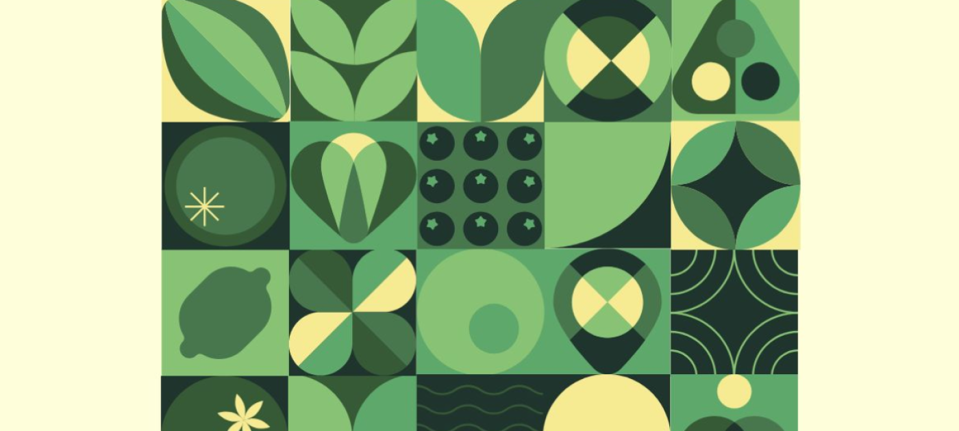 Feira de Negócios Inovadores da Bioeconomia Amazônica reúne 80 empreendimentos sustentáveis em Belém