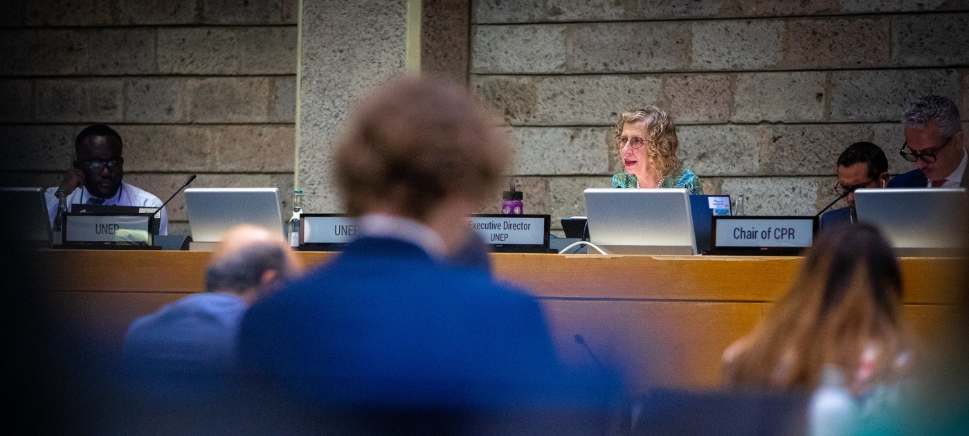 A vital three months for environmental diplomacy Credit: UNEP