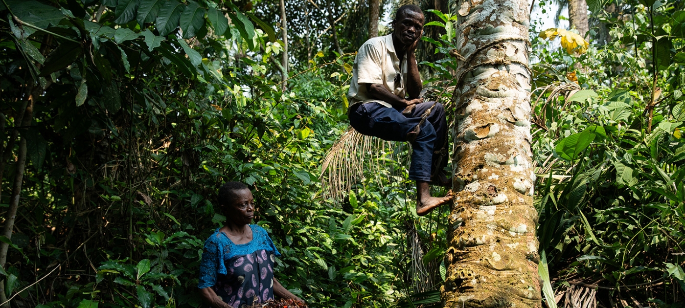 In the DRC, sustainable agroforestry bolsters finance, climate adaptation Photo by UNEP