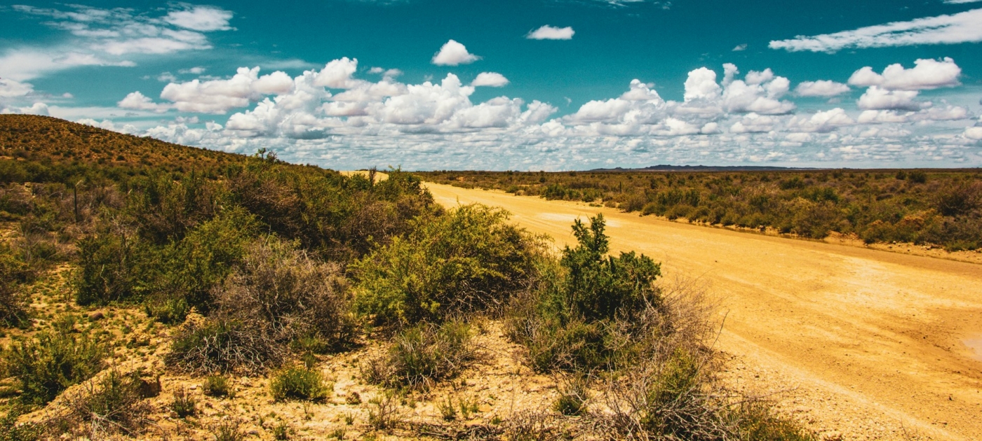 Les ministres de l'Environnement africains appellent à l'établissement d'un protocole juridiquement contraignant sur la gestion de la sécheresse Photo credit: Juanita Swart on Unsplash