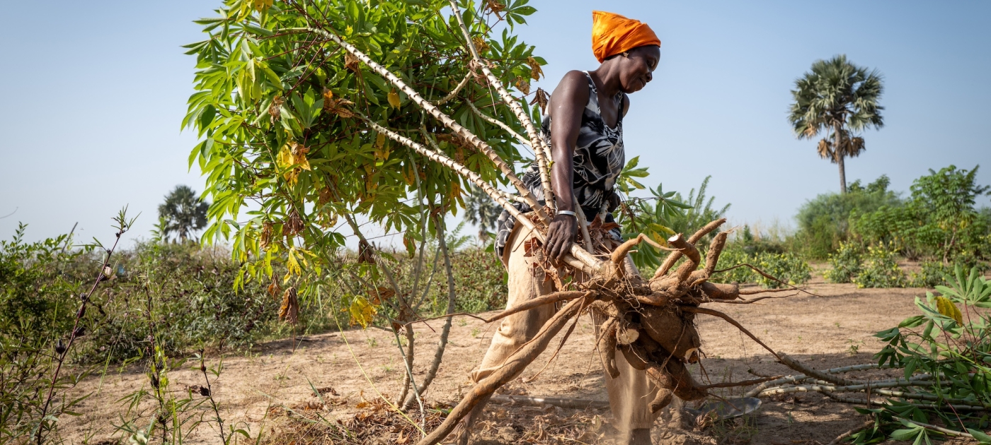 How “forest gardens” are restoring land – and hope – in Sub-Saharan Africa Credit: UNEP/Todd Brown