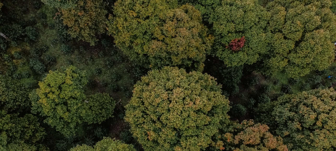 Indonesia and UNEP bolster collaboration to address planetary challenges Photo by UNEP/Taufany Eriz