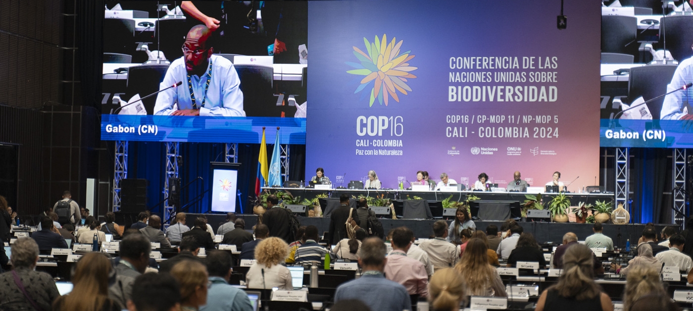A global action plan for health through biodiversity Photo by Duncan Moore/ UNEP