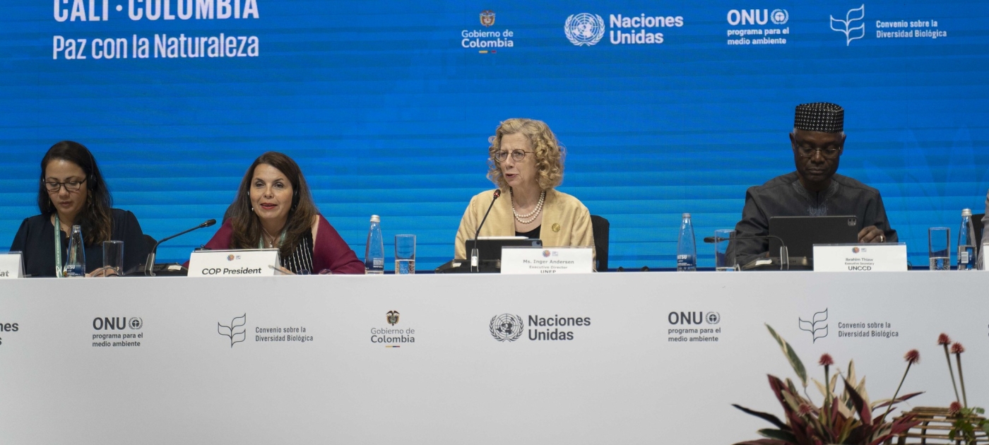 Making peace with nature through the Global Biodiversity Framework - UNEP COP16 Plenary Statement Photo by UNEP