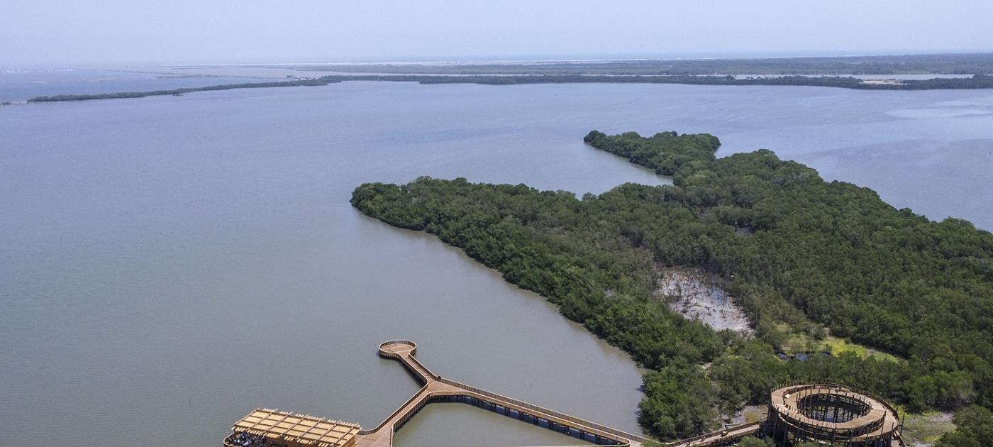 UNEP unveils new framework to track and bridge gap in urban nature finance Photo by AFP/Juan Barreto