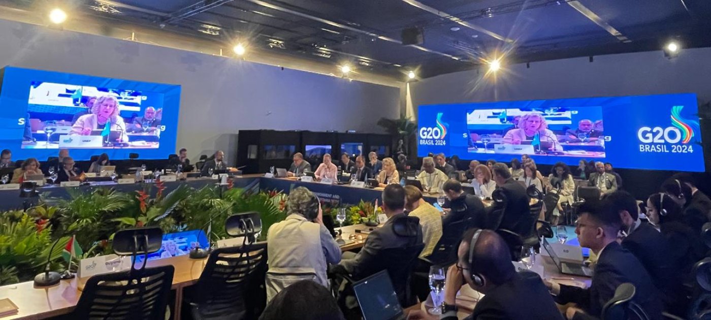 G20 precisa liderar em um momento decisivo para o meio ambiente e a prosperidade Credit: UNEP