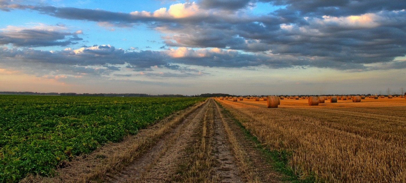 Rise in nitrous oxide emissions endangers pathway to 1.5°C, the ozone layer, and human health Photo credit: Pixabay