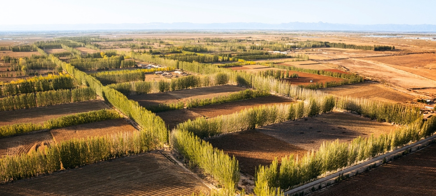 Саммит ООН привлекает внимание мира к проблеме деградации земель Credit: UNEP/Justin Jin